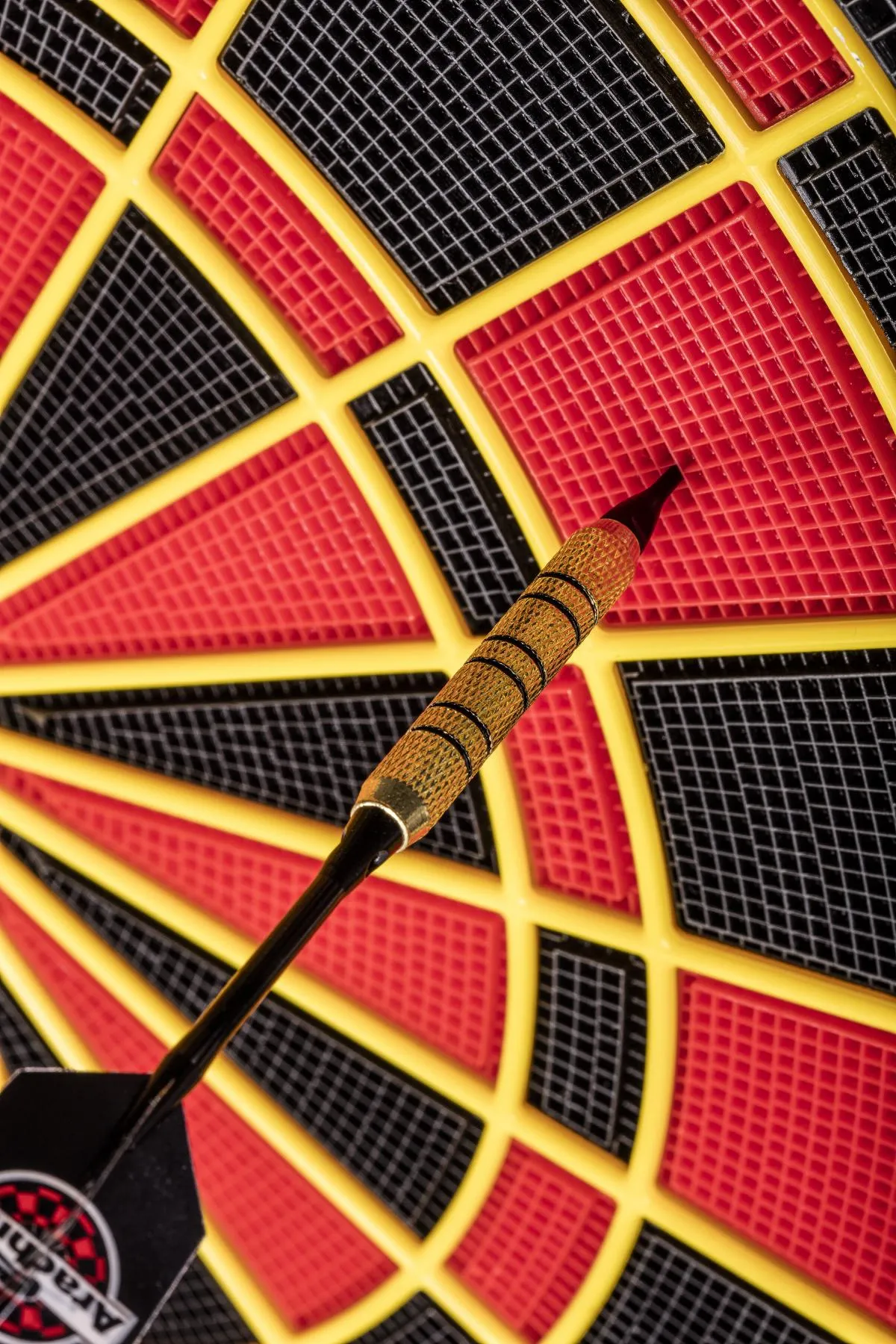Arachnid Cricket Pro 750 Talking Electronic Dartboard