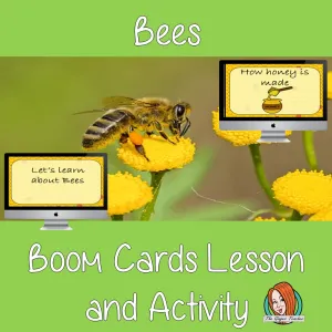 Bees - Boom Cards Digital Lesson