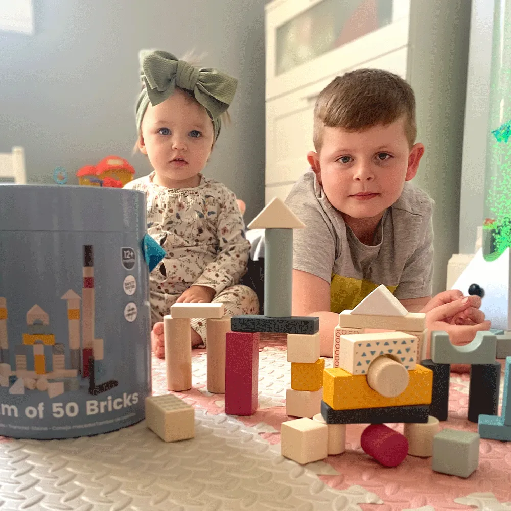 Bigjigs Toys Drum of 50 Wooden Blocks