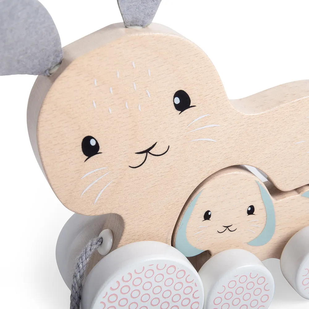 Bigjigs Toys Pull Along Bunny & Baby