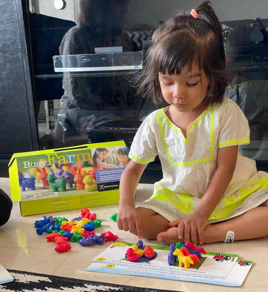 BUSY FARM Pre Reading Counters Set