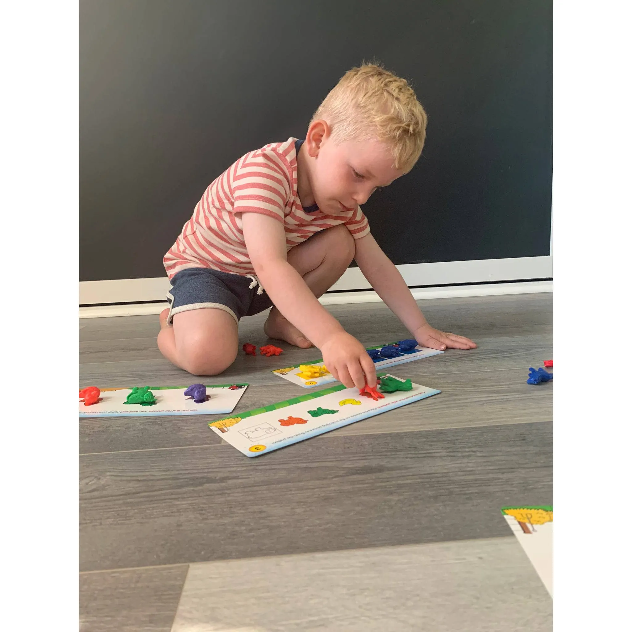 BUSY FARM Pre Reading Counters Set
