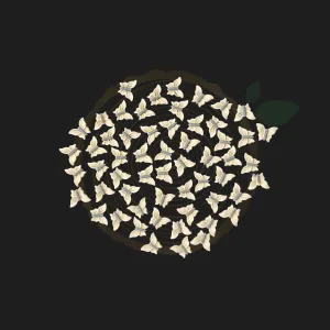 Butterfly Beads