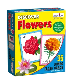 Discover Birds - FLASH CARDS
