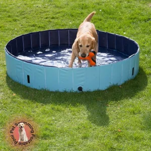 Elizabeth 63" Dog Kid Swimming Pool - Foldable Pet Kiddie Bathtub Pool Hard Plastic for Dogs Cats and Kids Blue