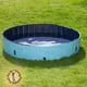 Elizabeth 63" Dog Kid Swimming Pool - Foldable Pet Kiddie Bathtub Pool Hard Plastic for Dogs Cats and Kids Blue