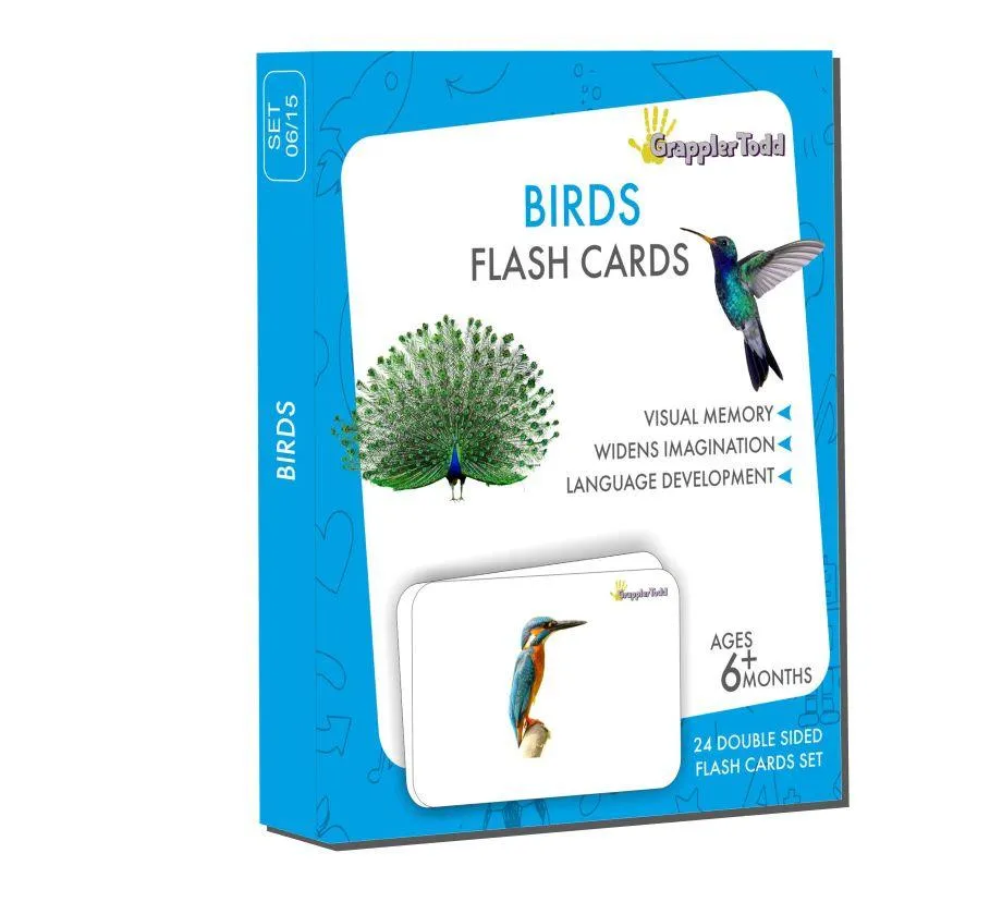 Insects Flash Cards