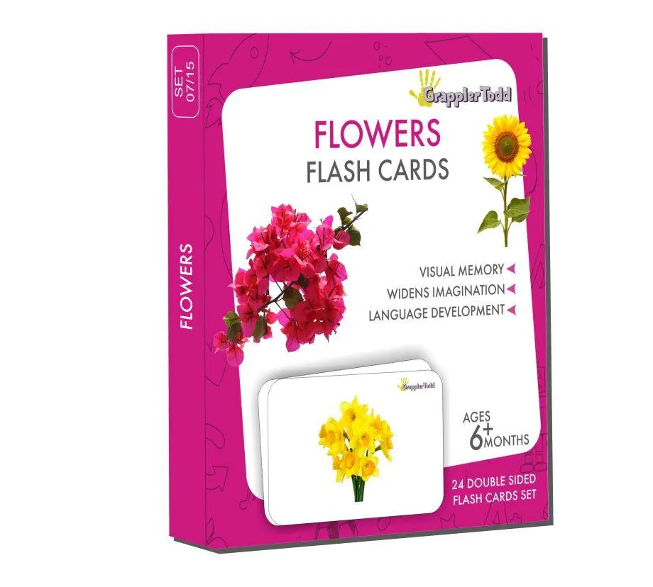 Insects Flash Cards