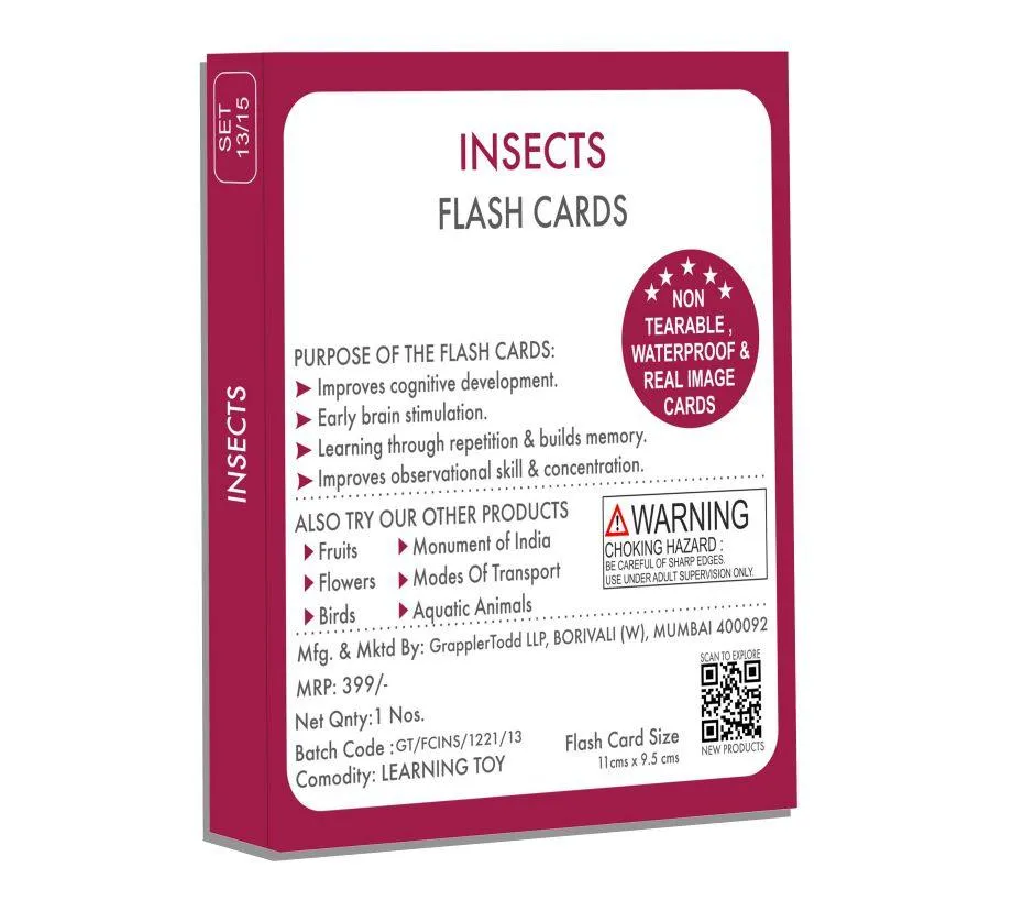 Insects Flash Cards
