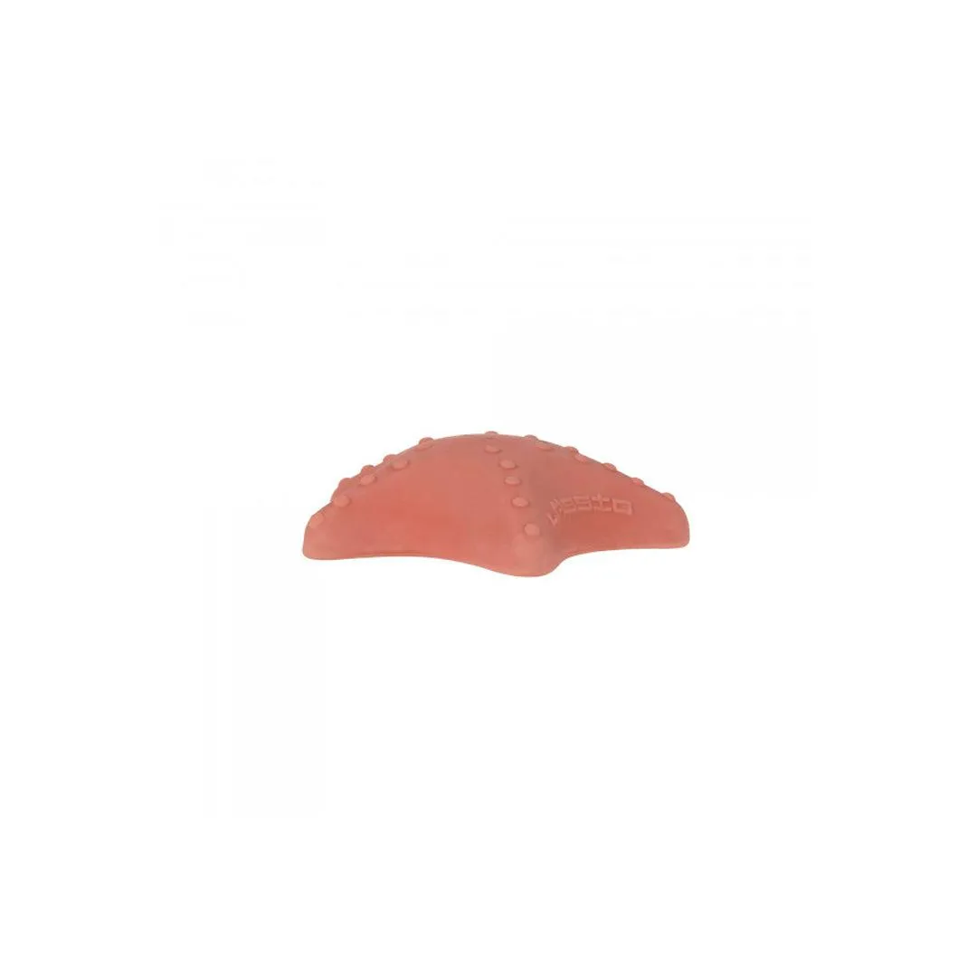 Lassig Bath Toy  - Red - Starfish