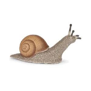 PAPO - SNAIL