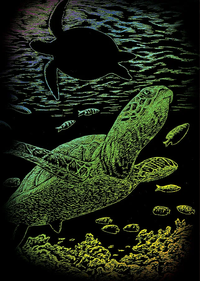 Royal & Langnickel Engraving Art: Undersea Turtle