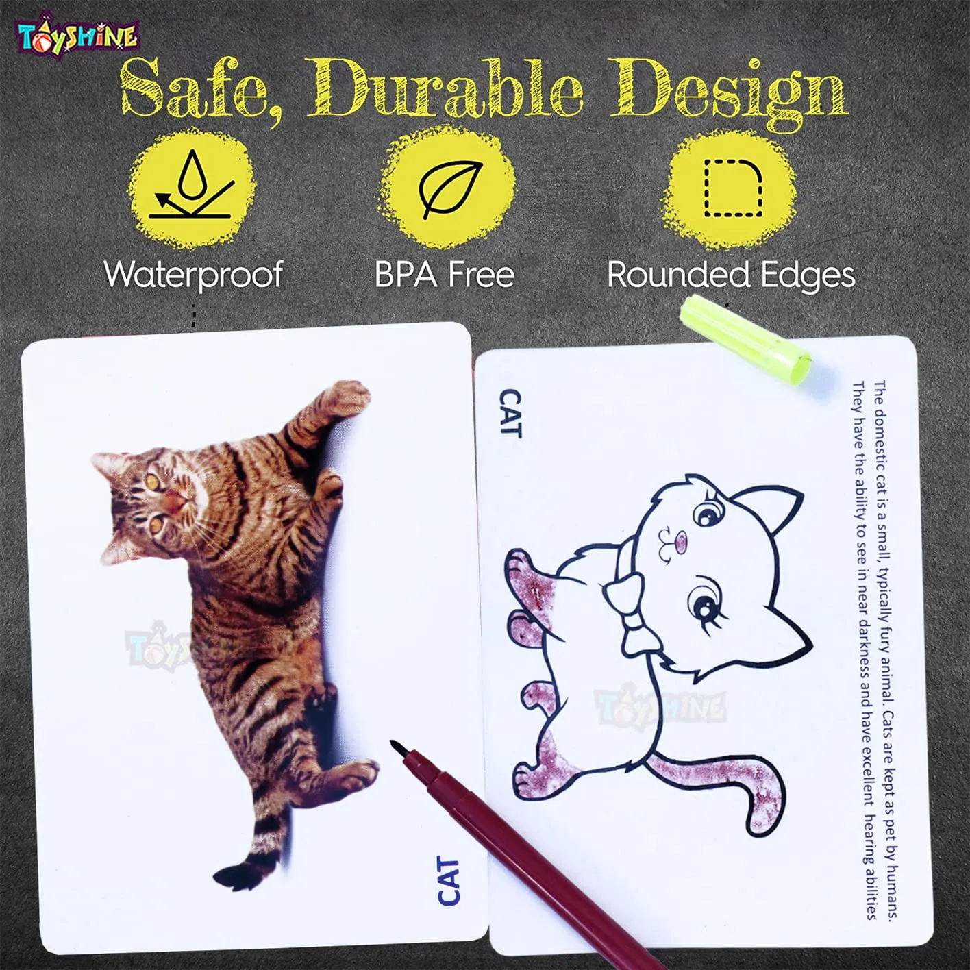 Toyshine Wipe and Clean Educational Flash Cards for Kids - Animals Learing Game for Boys Girls 2 3 4 5 Year Old